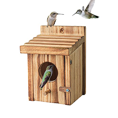 Brummende Vogelhäuser für den Außenbereich hängende kleine Vogel-Nistkasten - Holznest für Rotkehlchen, Kolibri, Sittich, Blauvogel - Sitzstange für draußen Vogelhausvögel - aus Kiefernholz von NATUREYLWL