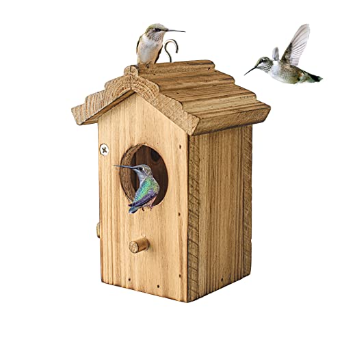 Kolibri-Haus zum Aufhängen kleiner Vogel-Nistkasten – Holznest für Rotkehlchen, Kolibri, Sittich, Blauvogel – Sitzstange für den Außenbereich Vogelhausvögel – aus Kiefernholz von NATUREYLWL