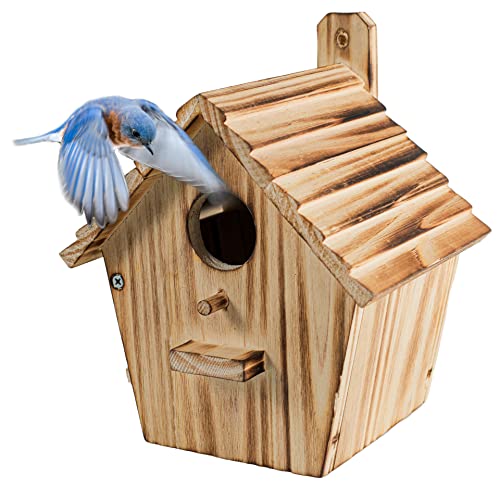 Vogelhaus Vogelhäuser für draußen mit Stange Holz Vogelhaus für Finken Bluebird House Kardinäle Hängend Vogelhaus Räumung Garten Landhäuser (B8) von NATUREYLWL