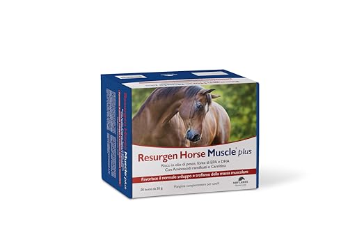 NBF Lanes | Resurgen Horse Muscle Plus – Muskelstütze für Pferde (20 Beutel) von NBF Lanes