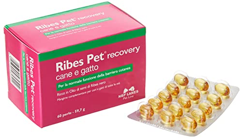 NBF Vet Lanes Ribes Pet Recovery Perle - 60 perle (54 g) von NBF Lanes