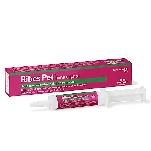 RIBES PET PASTA 30 G von NBF Lanes