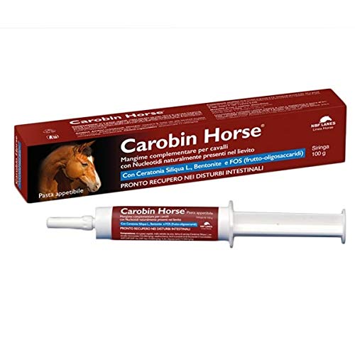 NBF CAROBIN Horse Spritze 1 x 100g von NBF