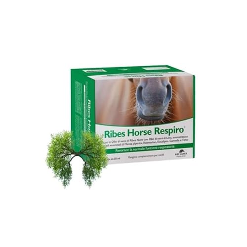 NBF Ribes Horse RESPIRO 10 Beutel à 25 ml von NBF