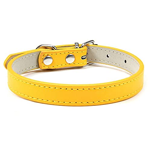 1 STÜCK Beliebte Einstellbare Bunte Haustierhalsbänder Kätzchen Katzenhalsband PU-Leder-Halsband für Hunde Weicher Heimtierbedarf,Gold,1.0XS von NC