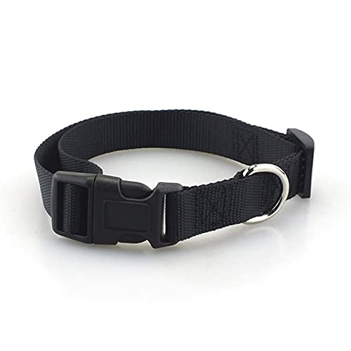 12 STÜCKE Set Hochwertiges Buntes Haustier Hund Katzenhalsband Nylon Haustier Katzen Hunde Kätzchen Halsband Einstellbar, Schwarz 1 Stück, M von NC