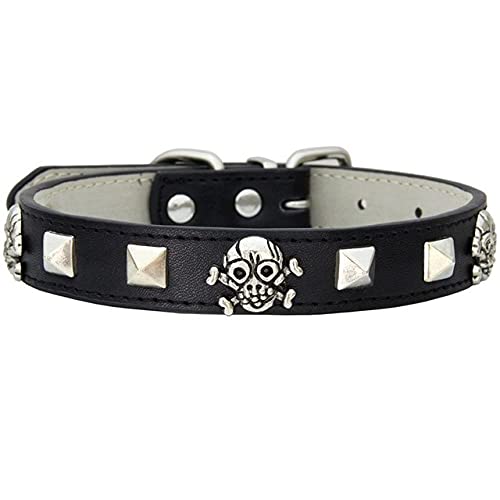 5 Farbe Totenkopf Besetztes Hundehalsband für Hunde Katzenhalsband Leder Welpen verstellbare Halsbänder für kleine mittelgroße Hundehalsbänder XS-XL,Schwarz,M(Hals 28,36cm) von NC