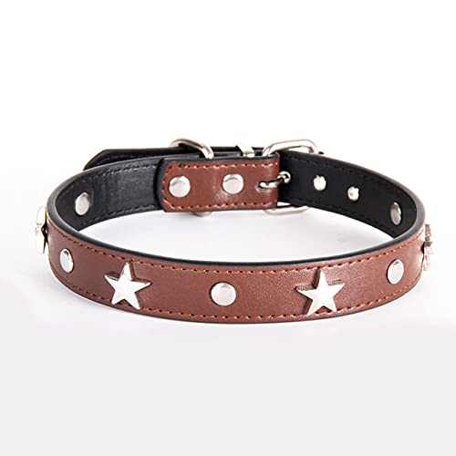 6 Farben SL Star Studded Hund Katzenhalsband Leder Welpen Halsband Halsband Verstellbare Haustierhalsbänder für kleine mittelgroße Hunde Halsband,Kaffee,L 2.0X45CM von NC