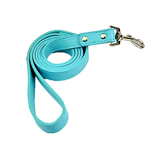 Farbe Small Medium Hundehalsband Runde Spikes Nietenbesetzte Hundehalskette Halsbänder für Walking Leash führt,Blaue Leine,M von NC