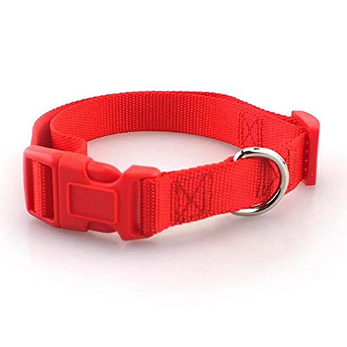 Haustier-Hundehalsband Klassisches Polyester-Nylon-Hundehalsband mit Schnellverschluss-Schnalle passt zum Leine-Geschirr,rot,M von NC