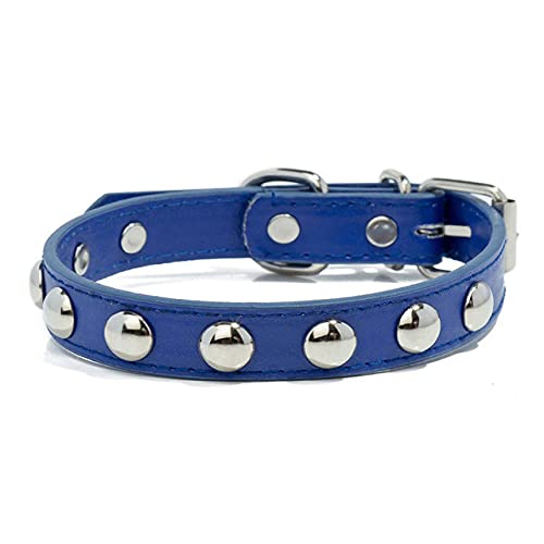 Haustier Welpenhalsband Mode Buntes Leder Hundehalsband Nietenhalsbänder für kleine Hunde Katzen Halsband,Blau,XL von NC