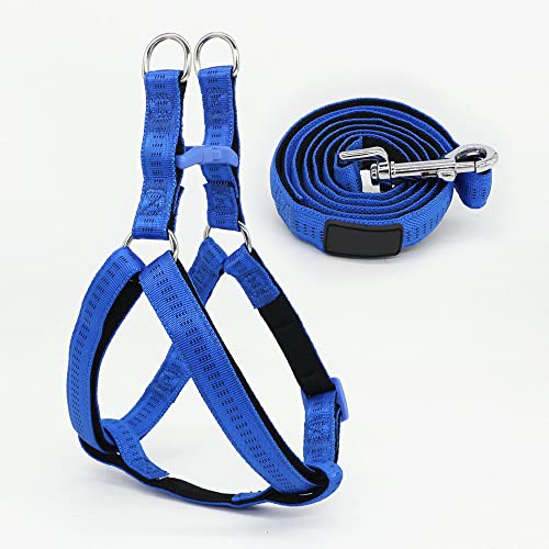 Hundegeschirr und Leine Set Tauchen Stoff Futter Nylon Weich Für Kleine Mittlere und Große Hunde Kette Tägliches Gehen,Blau,XL,2,5cm von NC