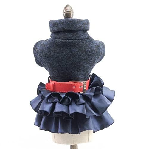 Hundekleider Mantel Herbst Warmer Rollkragen Strickpullover Top Katze Tutu Rock Kleidung für kleine Hunde XS SML XL,Blau,xs von NC