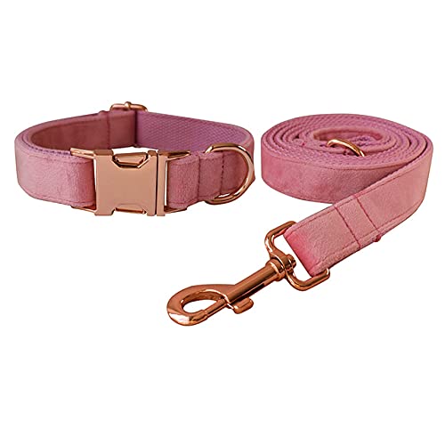 Kragen Personalisierte Samt Baumwollqualität Stoff Für Kleine Mittelgroße Hunde Metallteile Haustier Zubehör,Hundehalsband Leine Set,M von NC