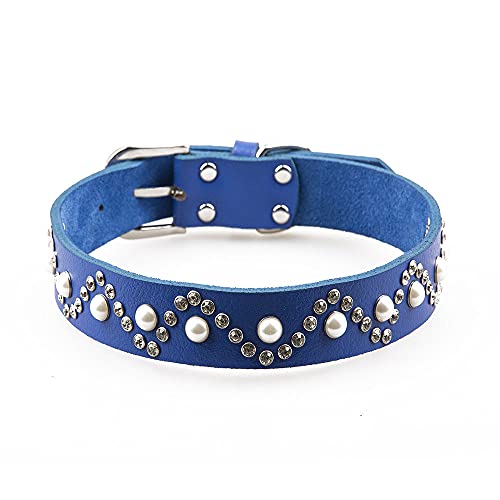 Leder Hundehalsband Leine Schmuck Perlen und Diamanten Besetzte Halskette Haustierprodukte Hundezubehör,Blau,M von NC