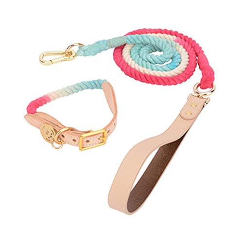 Leder Hundehalsband Rainbow Woven Cotton Traction Rope Small Medium Large Card Hunde und Katzen,als Bild15,L von NC