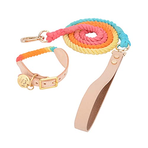 Leder Hundehalsband Rainbow Woven Cotton Traction Rope Small Medium Large Card Hunde und Katzen,als Bild16,L von NC