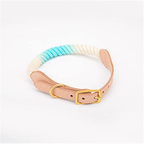 Leder Hundehalsband Rainbow Woven Cotton Traction Rope Small Medium Large Card Hunde und Katzen,als Bild8,L von NC