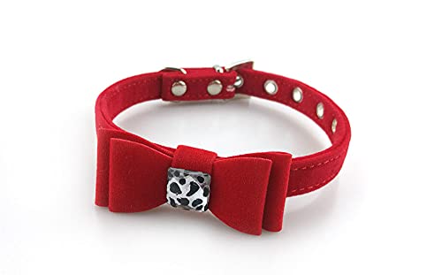 Luminous Pet Katzenhalsband Leine Set für Pet Puppy Cat Strass Halsband Rot Verstellbares Hundehalsband,rot,M 1,5x25,40cm von NC