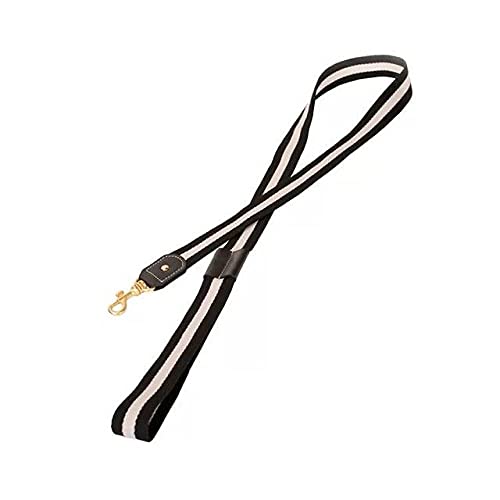 Luxus Mode Hundehalsband Leine Halskette Weiches Leder Hundehalsbänder Führt Zubehör,Leine 8,M 33,43cm von NC