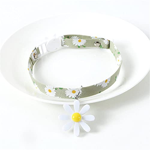 Niedliche Gänseblümchen-Blumen-Haustier-Katzenhalsbänder Einstellbare Welpenhalsband-Kätzchen-Kaninchen-Halskette Katzenzubehör,als Bild5,S(17,32CM) von NC