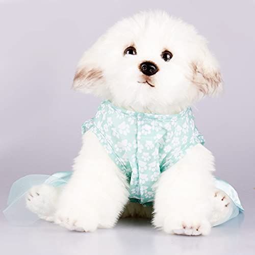 Pet Cat Kleidung für kleine Hunde Kleider Sweety Princess Dress Frühling Sommer Rock Chihuahua Mops Kleidung Puppy Cat Supplie,Blau,XL von NC