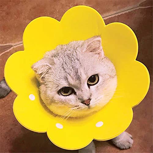 Pet Circle Collar Katze Sonnenblume Handtuch Filz Tuch Katzenhalsband Recovery Sleeve,gelb,M von NC