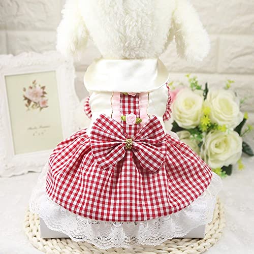 Pet Kleider Spitze Hochzeit Bowknot Sweety Rock Kleider für kleine mittelgroße Hund Katze Welpen Kleidung,Modell 3,xs von NC