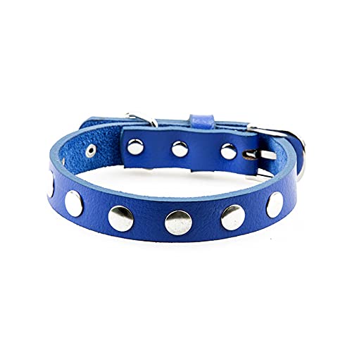 Pet Products Leder Hundehalsband für Welpen Kleines weiches Halsband Hundezubehör,Blau,M von NC