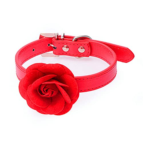 Pu-Leder Hundehalsband Rose Flower Pet Halskette mit Assort Tow Chain,rot,L von NC