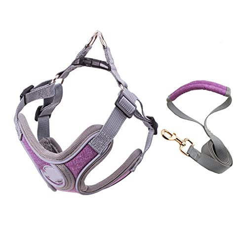 Sport No Pull Hundegeschirr Reflektierendes atmungsaktives Hundegeschirr für kleine mittelgroße Hunde Sicherheitsgeschirr und Leine Set,lila Geschirrset,S Brust 40,50cm von NC