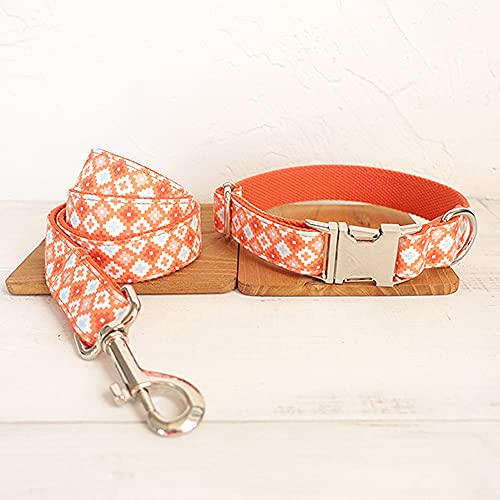 Süßkragen modische glänzende Hundehalsbänder und Leinen 5 Größen, Hundehalsband-Leine-Set, xs von NC