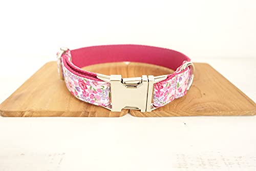 buntes Halsband modisch glänzende Hundehalsbänder und Leinen 5 Größen,Hundehalsband,XL von NC