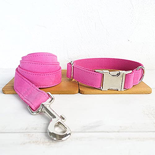 das Hundehalsband verstellbare Haustierhalskette für kleine große Hundeleine 5 Größen, Hundehalsband Leine Set, XL von NC