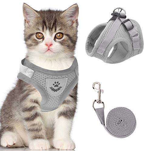 Katze Weste Geschirr und Kleine Hund für Walking, Allwetter Mesh Geschirr, mit Reflektierendem Riemen, Step in Verstellbares Katzen, XS (Grau, XS) von NCMAMA