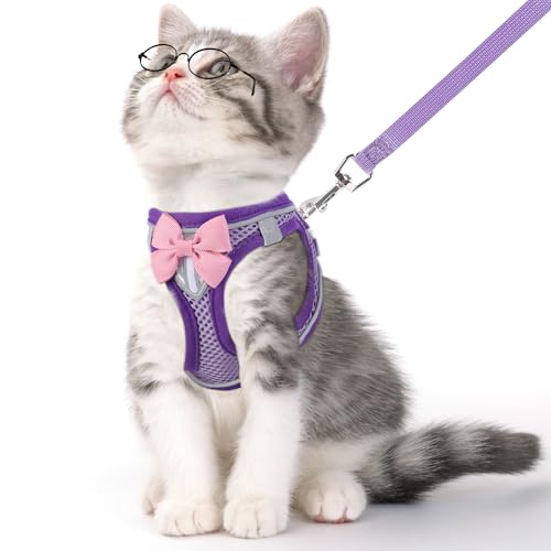 NCMAMA Katzengeschirr und Leine, Set zum Spazierengehen, ausbruchsicher, verstellbares Kätzchengeschirr, atmungsaktives Netzgewebe mit reflektierenden Streifen, Geschirr für Kätzchen, Welpen, Hasen NCMAMA Katzengeschirr und Leine, Set zum Spazierengehen, ausbruchsicher, verstellbares Kätzchengeschirr, atmungsaktives Netzgewebe mit reflektierenden Streifen, Geschirr für Kätzchen, Welpen, Hasen von NCMAMA
