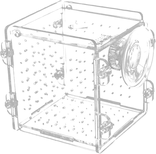 Fischzuchtbox Acryl Isolationsbox Transparent Fisch Tank Aquarium Zuchtbox Aquarium Fisch Brutkasten Inkubator mit Saugnapf von NCONCO