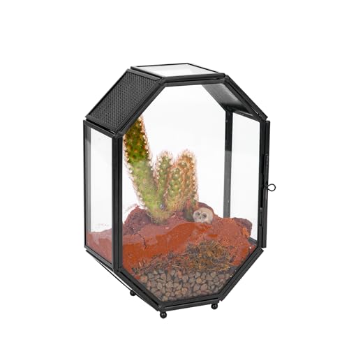 NCYP 12,7x6x17,8 cm Mini-Insektengehege aus Glas mit Entlüftung und Tür für springende Spinnen, achteckige kleine geschlossene geometrische Pflanzen Terrarium, schwarze Tischdekoration (nur Terrarium) von NCYP