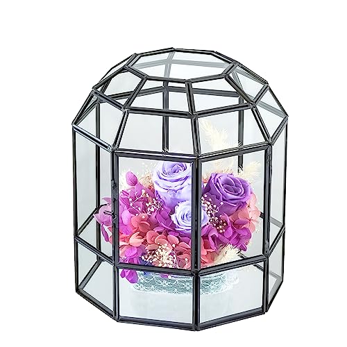 NCYP Geometrisches Glas-Terrarium für Sukkulenten Kakteen Luftpflanzen, handgefertigt, 16.8x16.8x20.3 cm, Miniatur-Feengarten-Display-Behälter, Geschenk (nur Terrarium) von NCYP