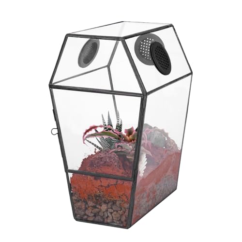 NCYP Glasgehäuse in Sargform mit Netz-Entlüftungslöchern für Springspinnen, Insekten, Schnecken – Tür vorne öffnend, geometrisches Terrarium, Tischdekoration, für den Innenbereich, Schwarz (nur von NCYP