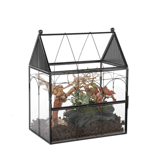 NCYP 19x12,5x23 cm Glasgehäuse mit Belüftungslöchern für Insekten, Spinnen, Schnecken, kleine geschlossene vorne öffnende Tür, Sukkulenten Terarium (Ohne Pflanzen und Requisiten) von NCYP