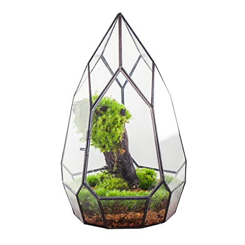 NCYP Moderner schwarzer geometrischer Terrarienbehälter aus Glas mit Tür – Balkon-Pflanzgefäß DIY Display Blumentopf für Sukkulenten Farn – Tisch-Miniatur-botanischer Feengarten (keine Pflanzen) von NCYP