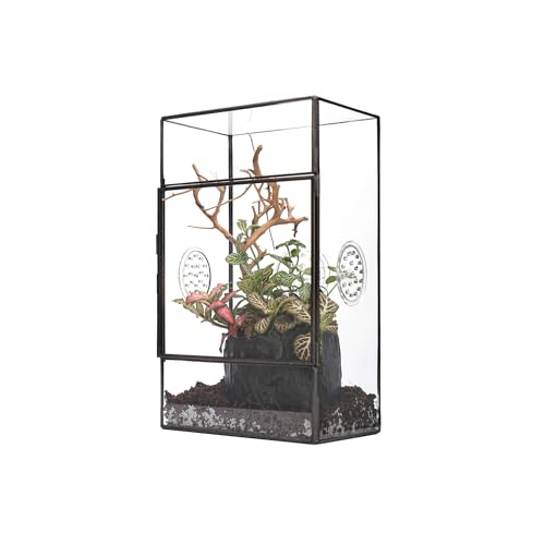 NCYP Rechteckiges Glas Terrarium mit Seitentür und DREI Belüftungslöchern handgefertigt, 13x10x23cm Schwarzes geometrisches Terraium für kleine Insekten Haus Garten Dekoration (nur Terrarium) von NCYP