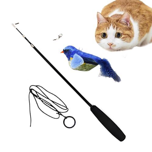 NEECS Cat Teasing Stick - Vogelspielzeug Katzenstab | Tragbares interaktives Katzenfederspielzeug, Quietschendes Katzenspielzeug für kleine mittelgroße Kätzchen, Katze, Welpe von NEECS