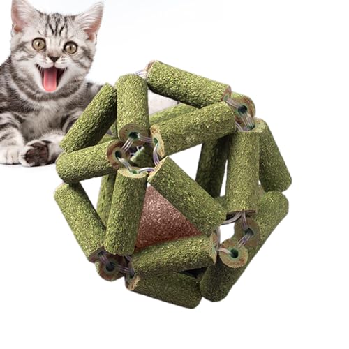 NEECS Katzenminze Kauspielzeug für Katzen | Interaktives Katzenminze-Spielzeug Natürliche Silvervine Stick Cage Balls - Bissfest, Sicheres Katzenkauspielzeug, Stick Cage Balls Katzenminze Ball von NEECS