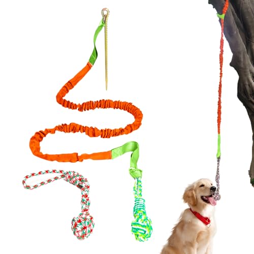 NEECS Seilspielzeug für Hunde, Kauspielzeug, kleines Hundespielzeug für aggressive Kauer, 5er-Pack, sicher und lustig, interaktives Spielen, Zahnreinigung und Apportieren, geeignet für kleine, von NEECS