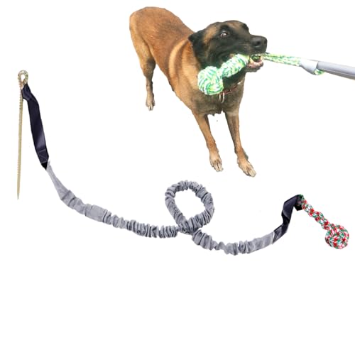 NEECS Seilspielzeug für Hunde, Kauspielzeug, kleines Hundespielzeug für aggressive Kauer, 5er-Pack, sicher und lustig, interaktives Spielen, Zahnreinigung und Apportieren, geeignet für kleine, von NEECS