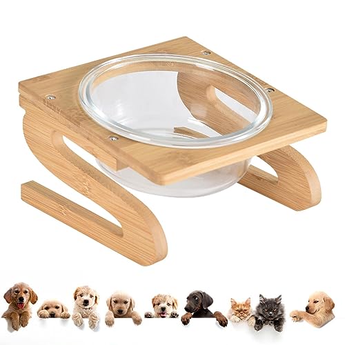 Pet Dog Bowl, Pet Feeding Tilted Dog Bowls, Reusable Tilted Elevated Dog Bowls, Raised Cat Food Bowls for Small to Medium Dog and Cat Pet Bowl von NEECS