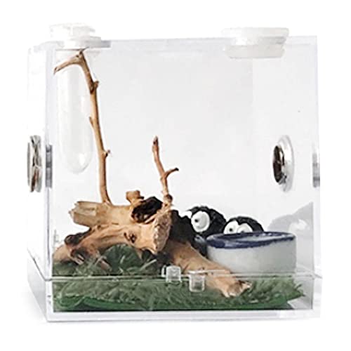 Zuchtbox Acryl Krabbelbox Haustier Zuchtbox 1pcs Spinne Terrarium Zuchtbox Transparent Lebendfutter Aufbewahrung Insct Viewing Box für Spinne, Grillen, Schnecken, Einsiedlerkrebse, Vogelspinnen, von NEECS