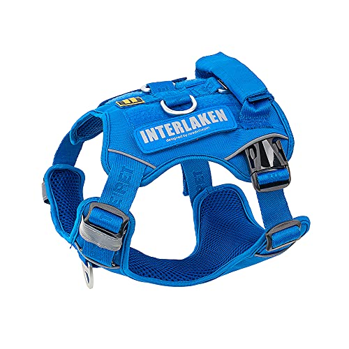 Hundegeschirr, No-Pull Haustier Geschirr, Verstellbare Eva Gepolsterte Hundeweste, Reflektierende No-Choke Pet Patch Weste mit Easy Control Griff (XS, Blau) von NEEDS THE PET